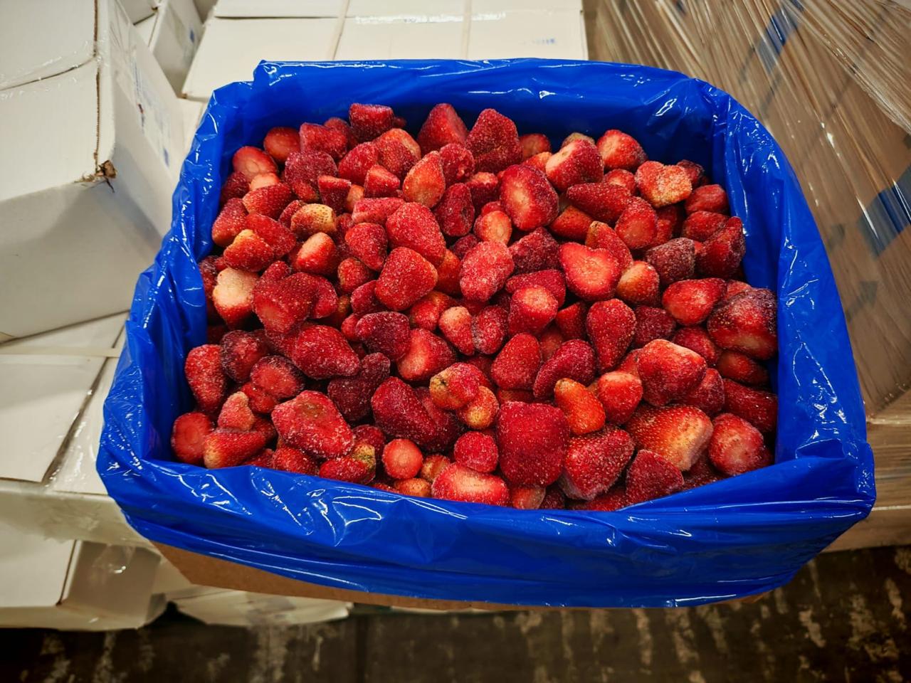 IQF frozen Egyptian strawberries and mango for export